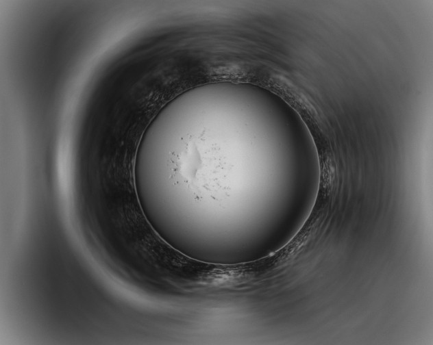 X0000093500764200710121513