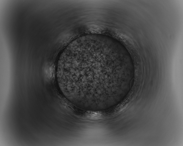 X0000093500768200710121513
