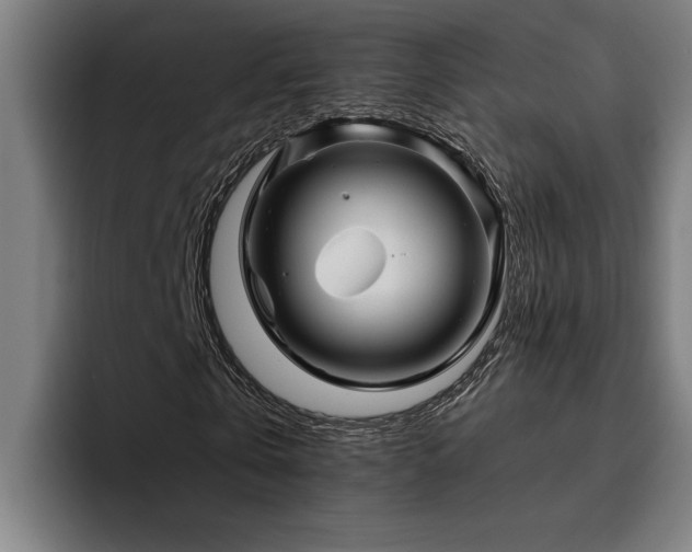 X0000093500769200710121512
