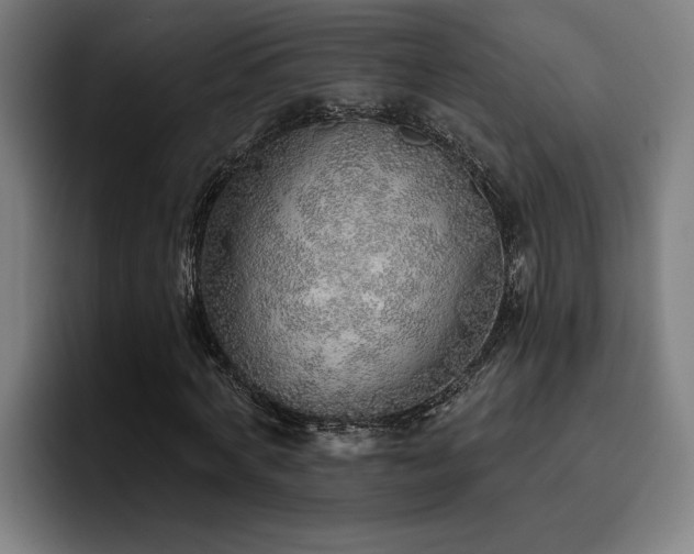 X0000093500772200710121512
