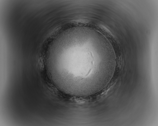 X0000093500774200710121512