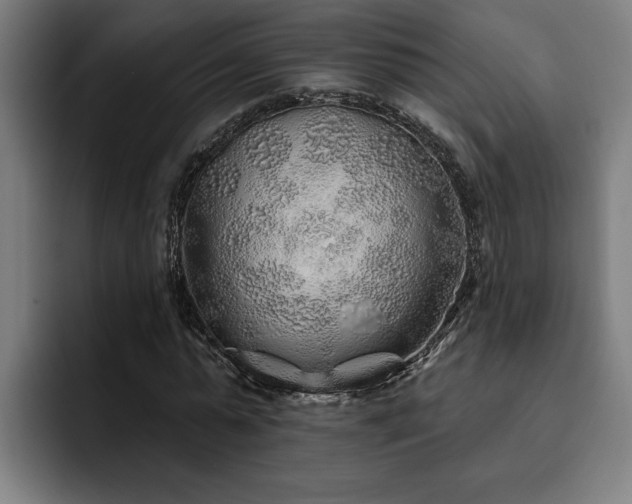 X0000093500775200710121512
