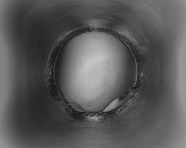 X0000093500776200710121512