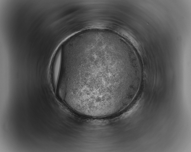 X0000093500779200710121512