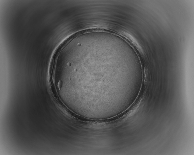 X0000093500780200710121512