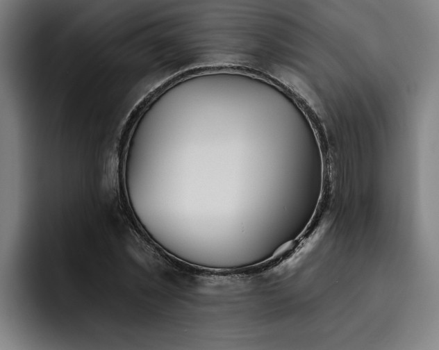 X0000093500781200710121512