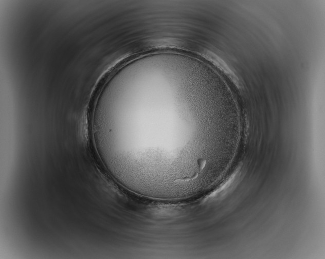 X0000093500782200710121512