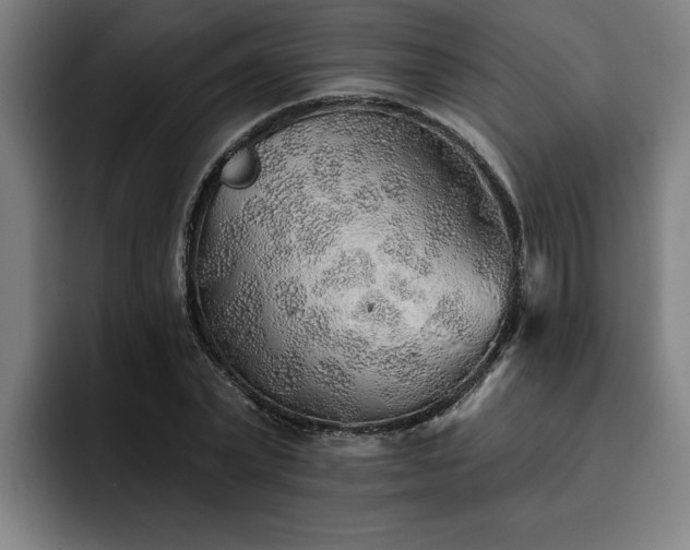 X0000093500783200710121512
