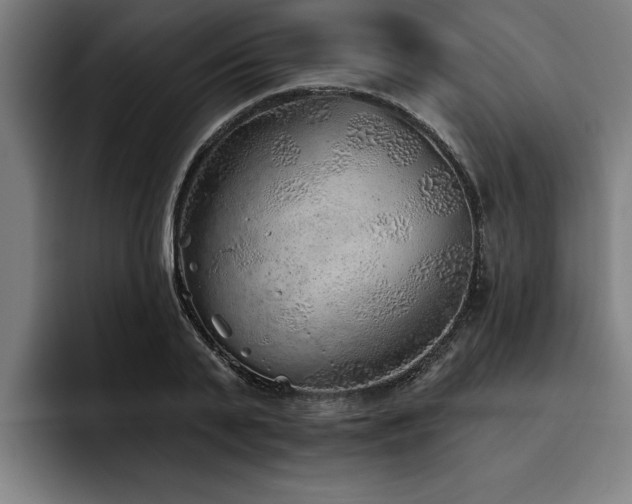 X0000093500791200710121512