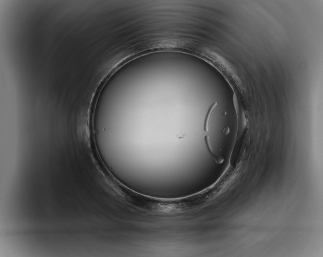 X0000093500794200710121512