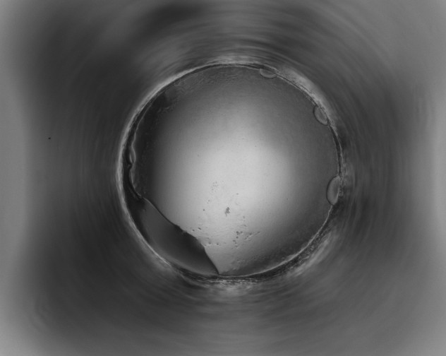 X0000093500803200710121512
