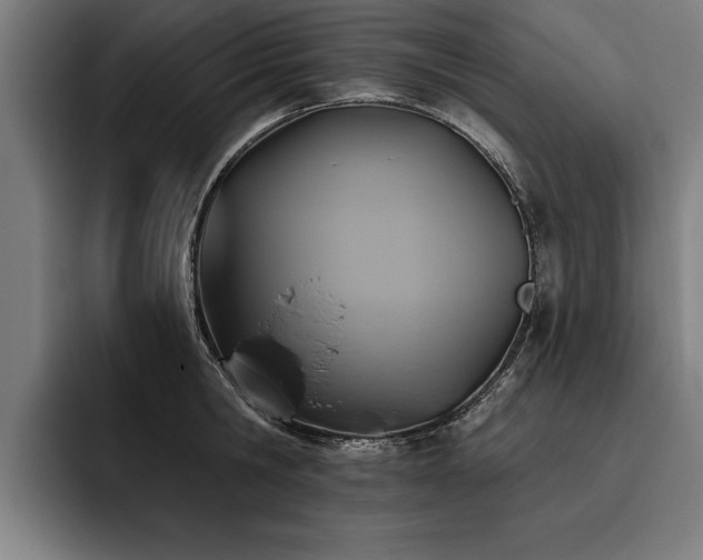 X0000093500806200710121512