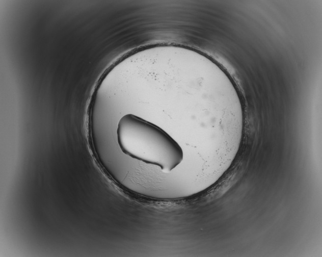 X0000093500807200710121512