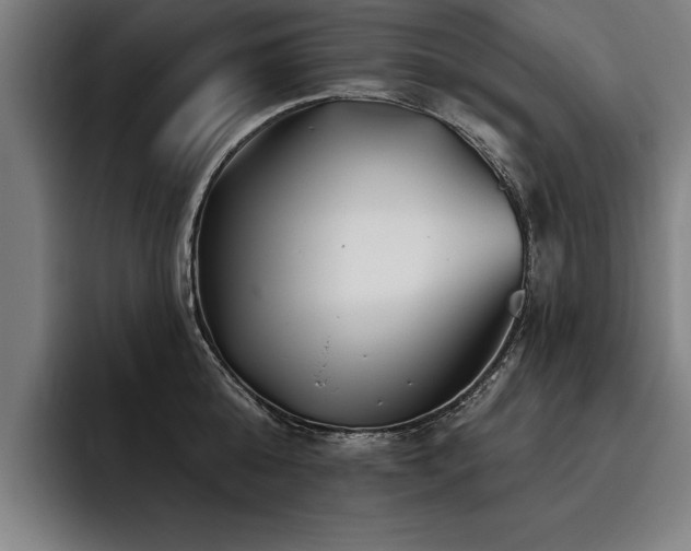 X0000093500808200710121512