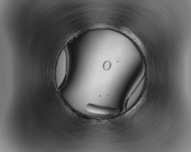 X0000093500809200710121512