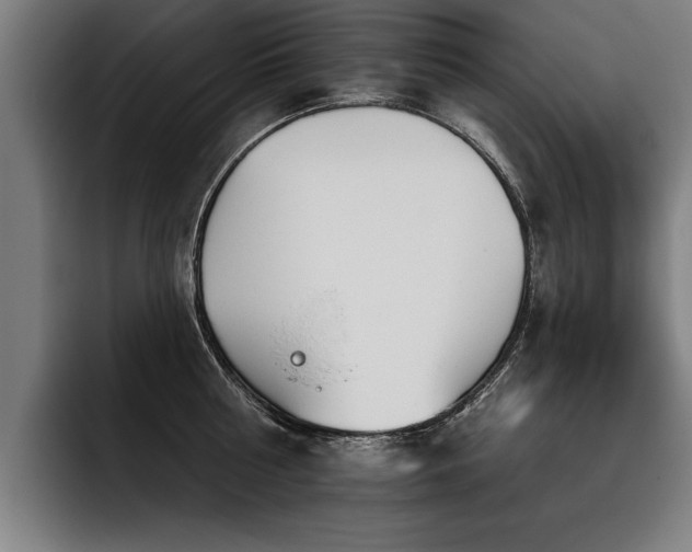 X0000093500810200710121512