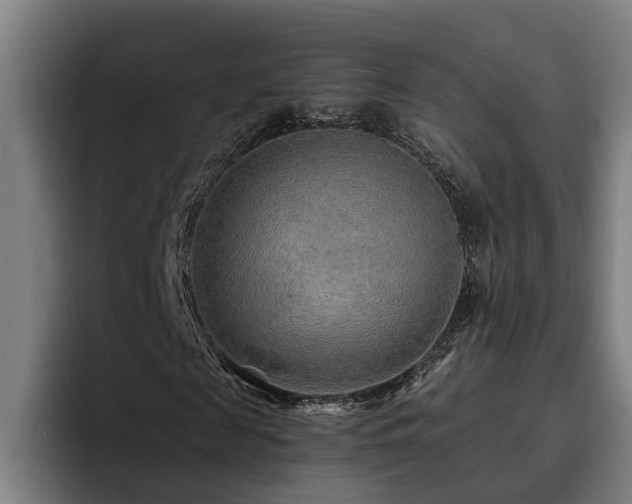 X0000093500817200710121511