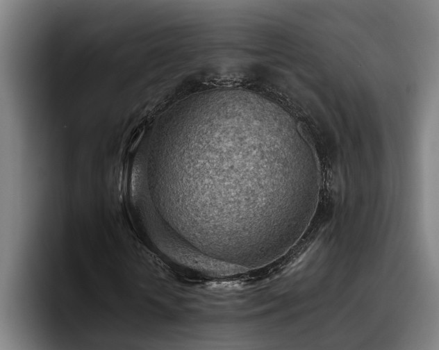 X0000093500818200710121511