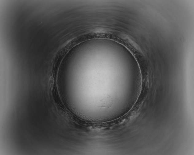 X0000093500821200710121511