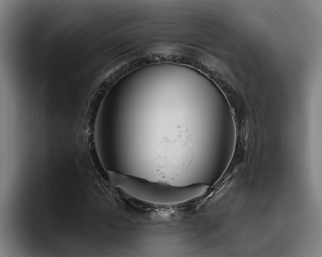 X0000093500822200710121511