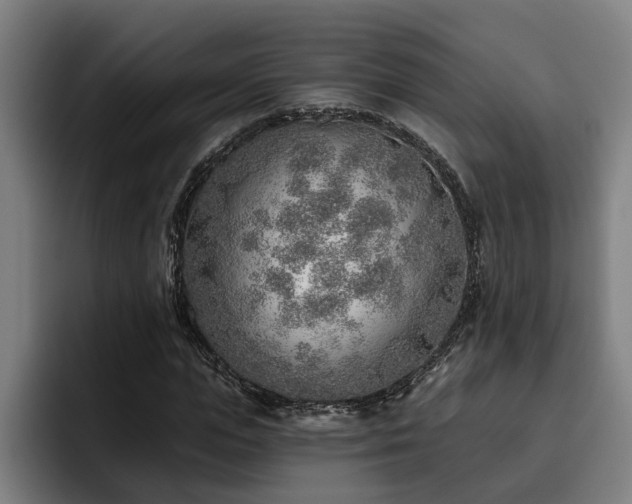 X0000093500823200710121511
