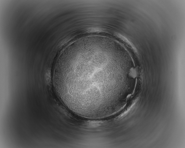 X0000093500825200710121511