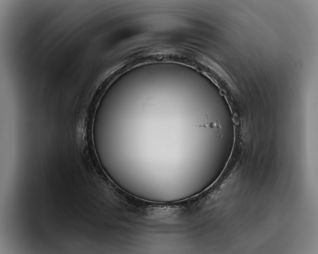 X0000093500826200710121511