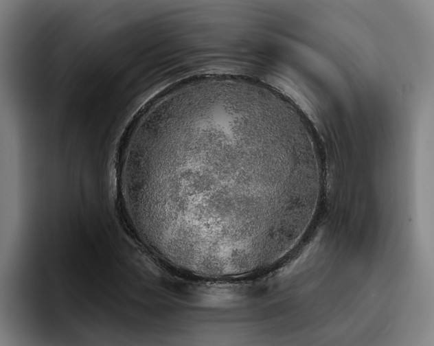 X0000093500829200710121512