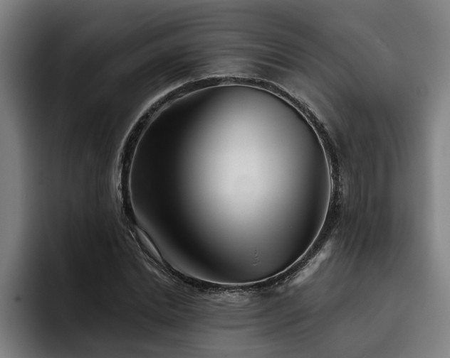 X0000093500830200710121512