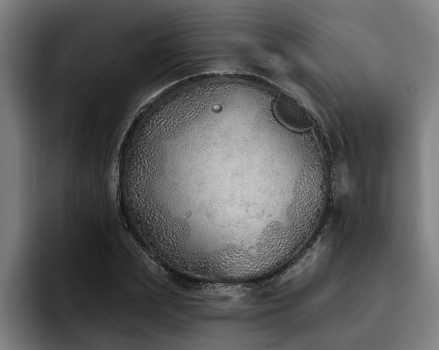 X0000093500831200710121512