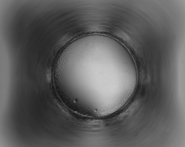 X0000093500833200710121512