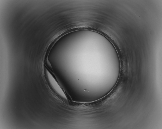 X0000093500834200710121512