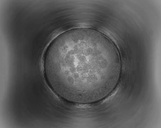 X0000093500835200710121512