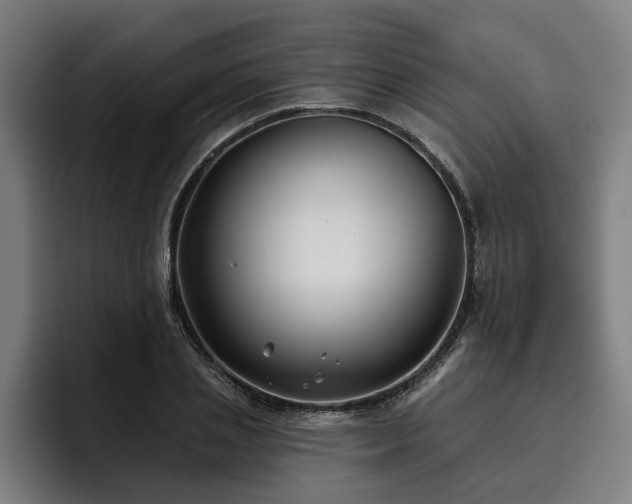 X0000093500837200710121512