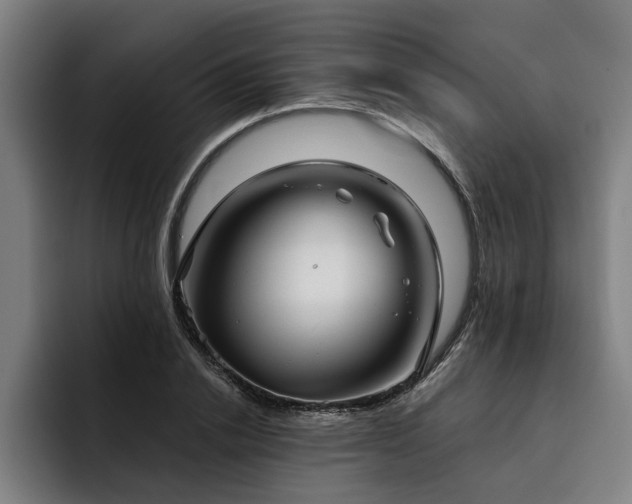 X0000093500838200710121512