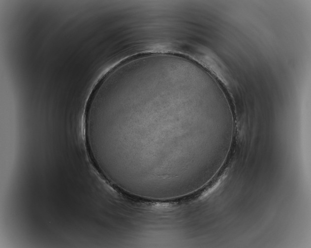 X0000093500839200710121512