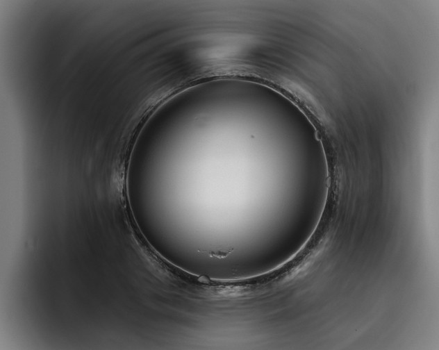 X0000093500841200710121512
