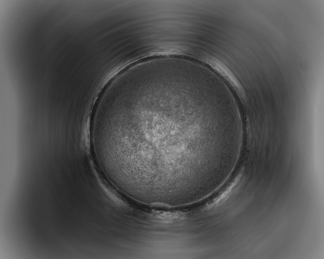 X0000093500842200710121512