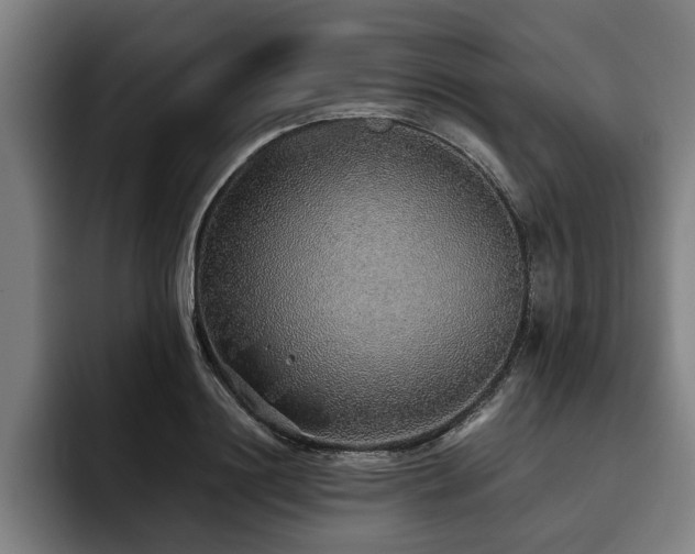 X0000093500844200710121512