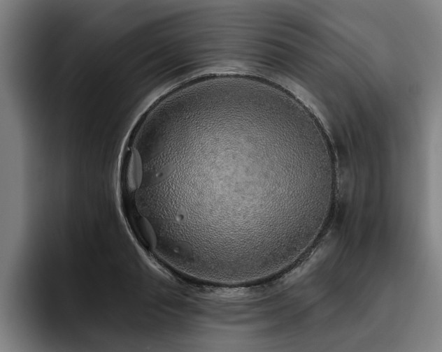 X0000093500845200710121512