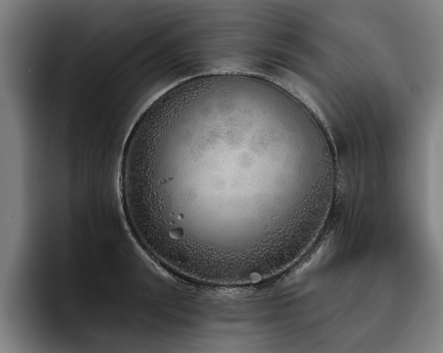 X0000093500847200710121512