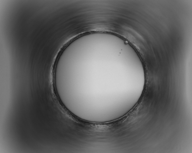 X0000093500848200710121512