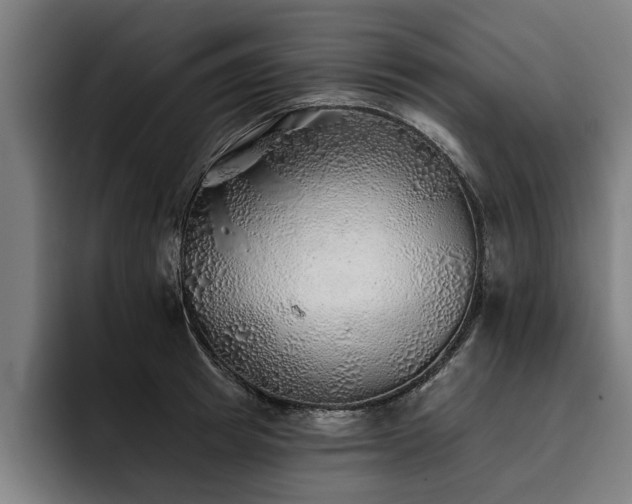 X0000093500849200710121512
