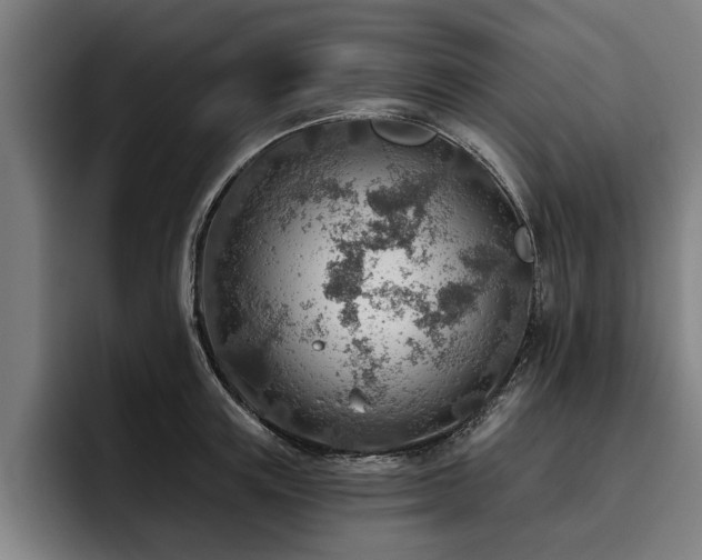 X0000093500851200710121512