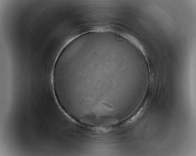 X0000093500855200710121512