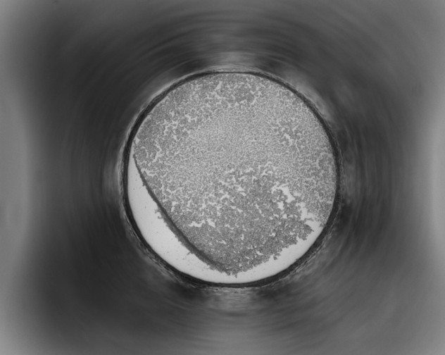 X0000093500856200710121512