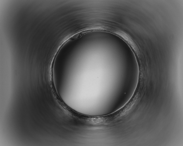 X0000093500858200710121512