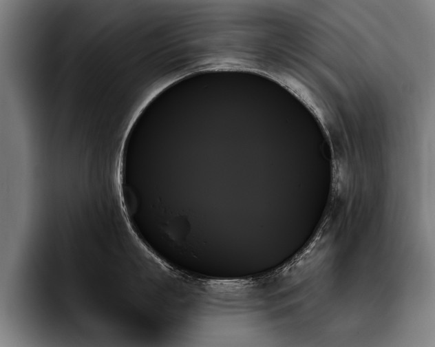 X0000093500863200710121512