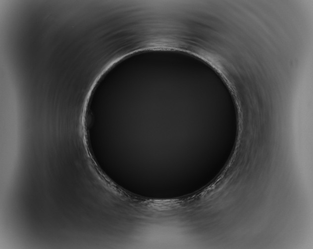 X0000093500864200710121512