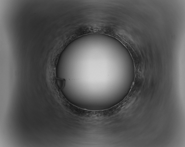 X0000093500865200710121511